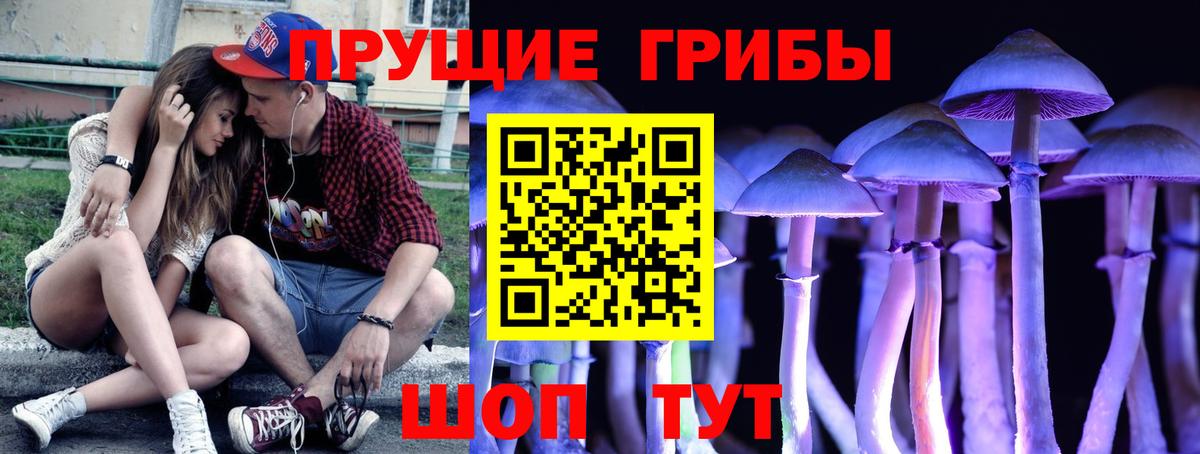 Псилоцибиновые грибы ЛСД  Вход с VPN  Псилоцибиновые грибы Cubensis  Янаул 