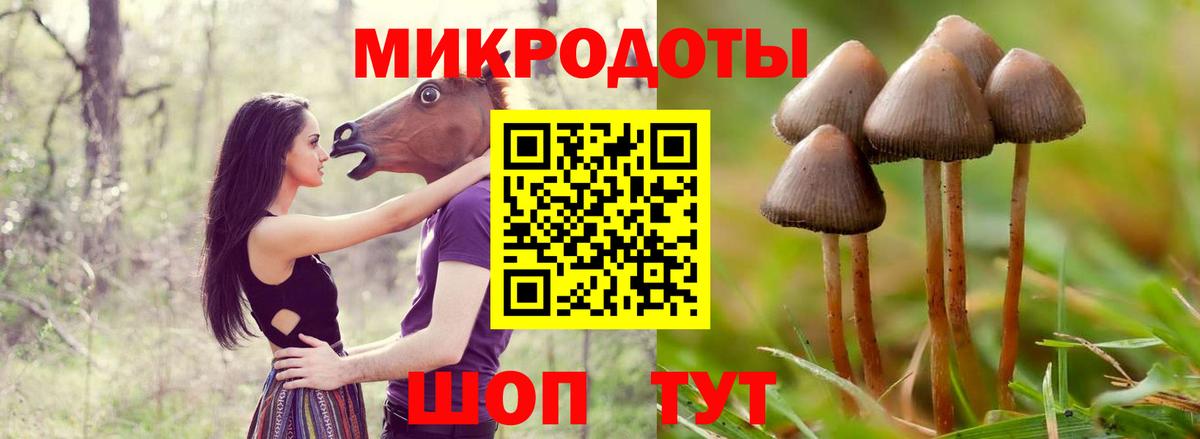 Галлюциногенные грибы MAGIC MUSHROOMS Янаул